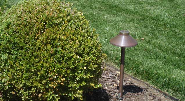 Low Voltage Lighting, Nightscaping