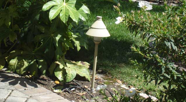 Low Voltage Lighting, Nightscaping
