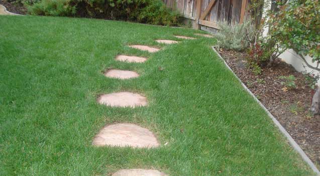 Landscape Design: Pathways, Walkways