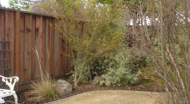 Landscape Design: Sustainable Landscaping, Edible Gardening