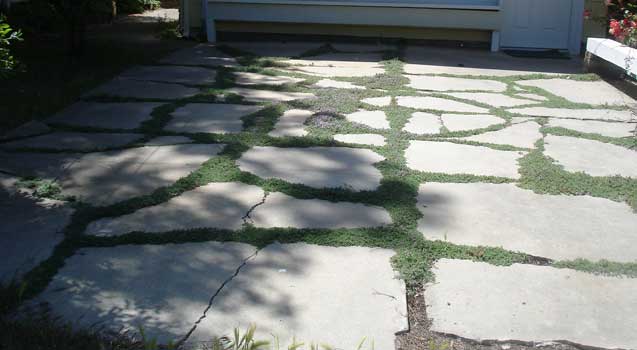 Landscape Design: Sustainable Landscaping, Edible Gardening
