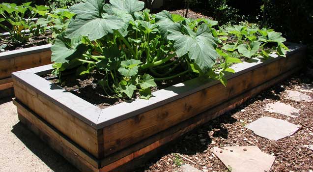 Landscape Design: Sustainable Landscaping, Edible Gardening
