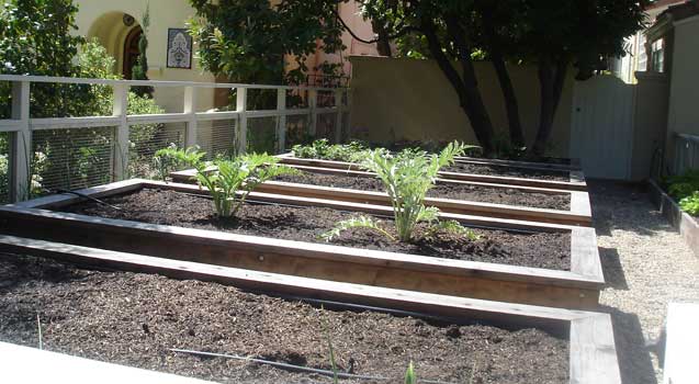 Landscape Design: Sustainable Landscaping, Edible Gardening