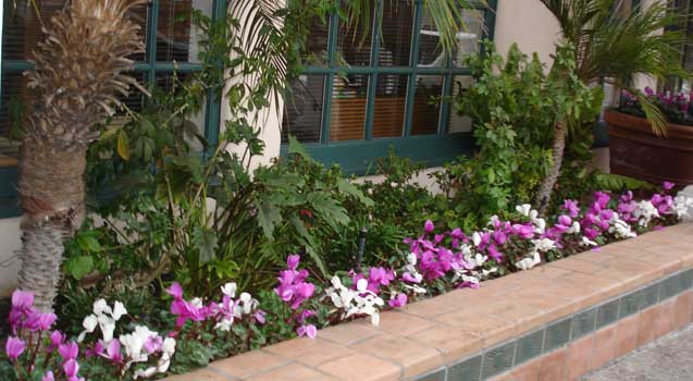 Landscape Design: Retaining Wall, Seating Benches