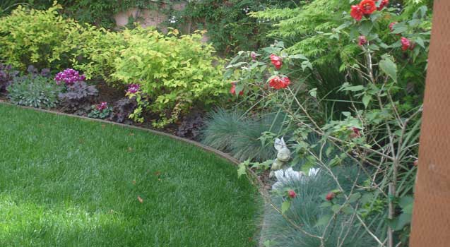 Landscape Design: Palo Alto