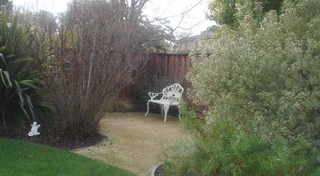 Landscape Design: Palo Alto