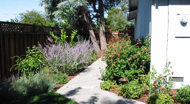 Landscape Design: Santa Clara